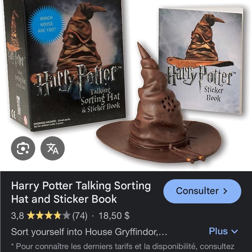 Harry Potter Sorting Hat with Sticker Book